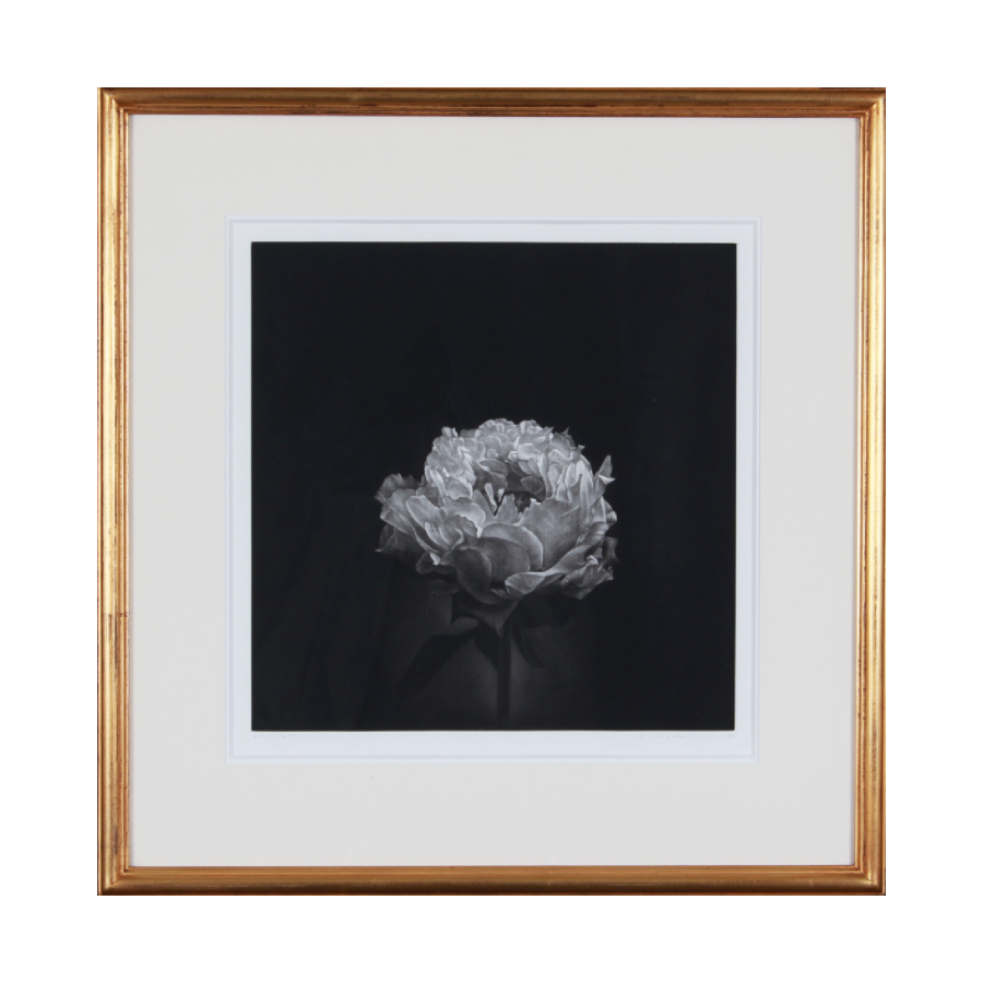 野田弘志｜THE ARTS（ジ・アーツ）｜絵画のレンタル・サブスク